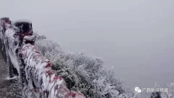 大明山|南宁大明山出现大面积雾凇景观 出行前需先预约购票