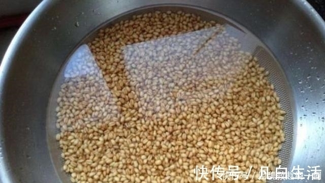 大板鲫|不是跟你吹,这5种特效饵“专攻”大板鲫,试过的人绝非等闲之辈