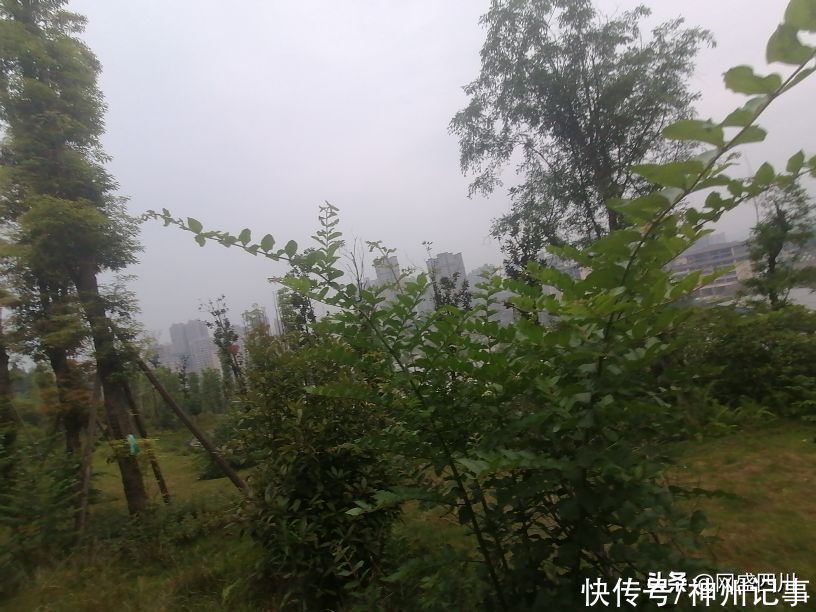 蓬安|逛游百牛赞歌广场，这里风景独好