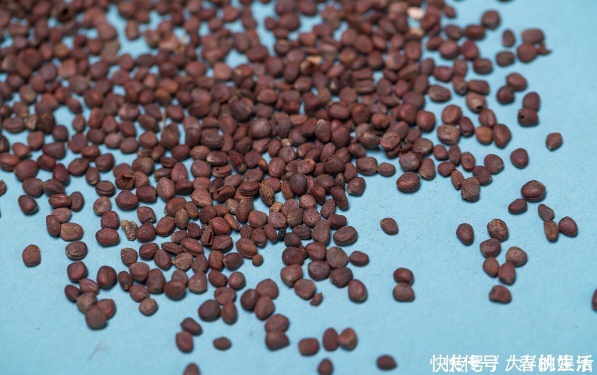 通便|原来解决便秘怎么简单这一物坚持喝,每天准时上厕所,一通到底