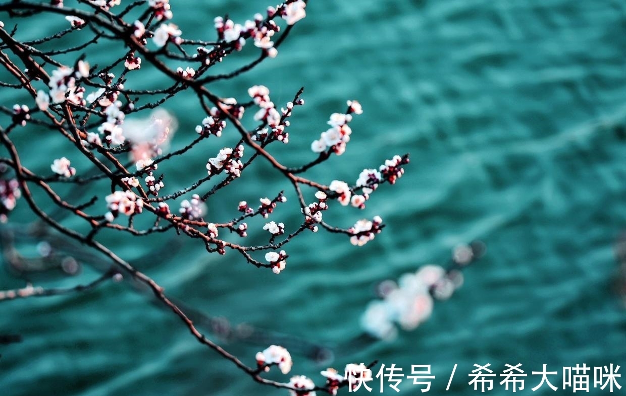 绝句!一位十八岁的七律爱好者,如何突破当下的困境——作品修改回复