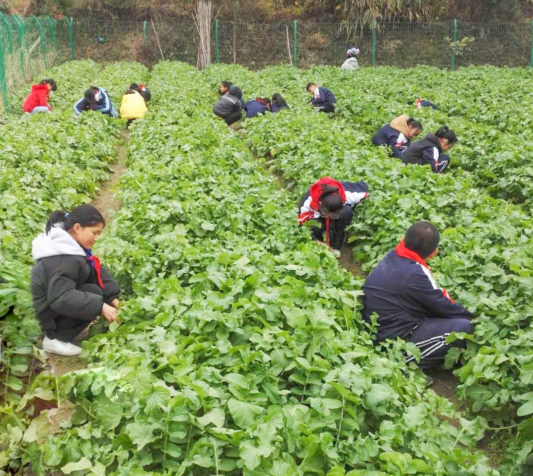 机器人|下地劳作、玩转无人机、与机器人大PK···莲都的学生们在“双减”之下露出了开心的笑容！