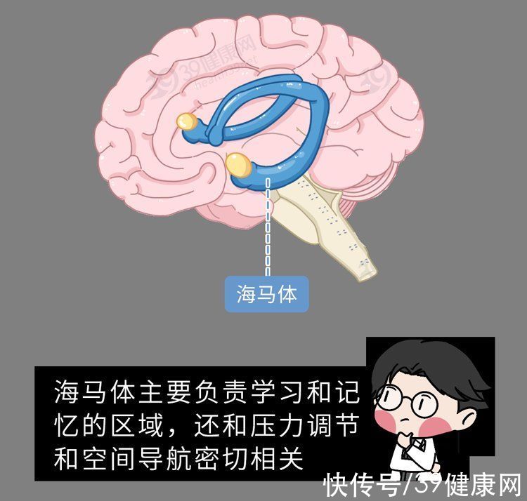 肾虚|中医3个“养肾法”，有助改善肾虚，肾虚没了，很多症状就消失了