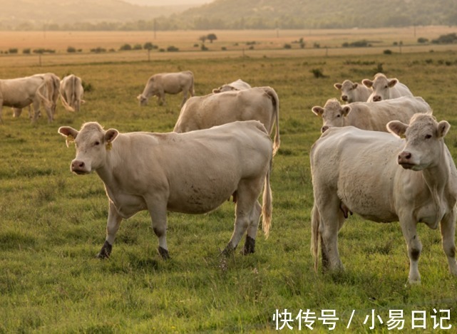 人心思|12月25号起，霉运散尽，财神爷回归，赚钱速度加快，没烦恼的生肖