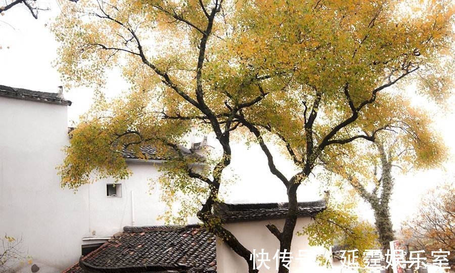 自由的人&有一句宋诗写“人生难得秋前雨”,你能读懂诗人的意思吗?