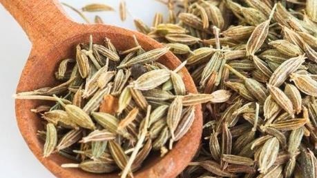 香菜|小茴香起大作用不出2周,滑膜炎积液走丢了,膝盖也不疼了