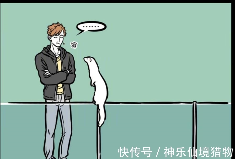 变身术|非人哉:黄大仙嘲讽貂兄无抱负,一颗貂粮打脸,抱负再大不如吃得香