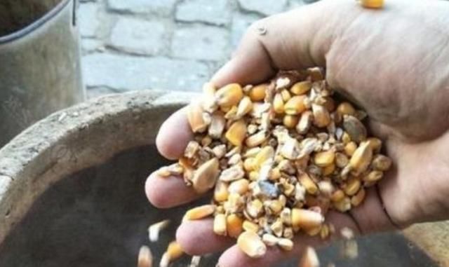 浮漂|天一热,我只要有这鳊鱼钓法,隔三五天就想钓,切记莫忽视哦