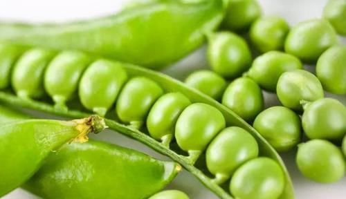 冬季老年人适合多吃3种食物，补充营养，调理肠胃，增强抵抗力