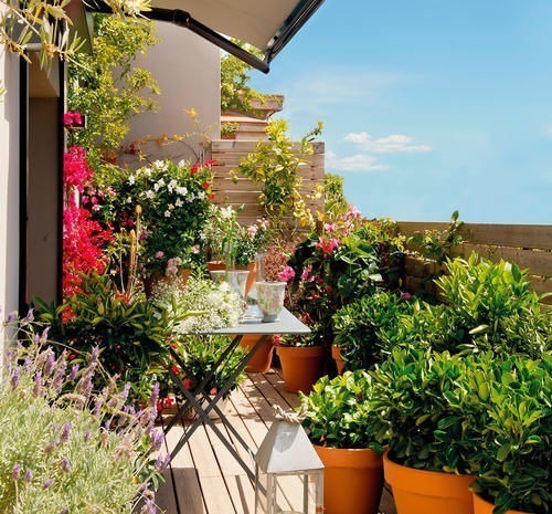 阳台上|3步打造“阳台花园”,只要有阳台,就可以打造漂亮的阳台小花园