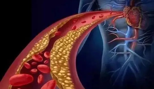 血液|你的心脏还能跳多久?