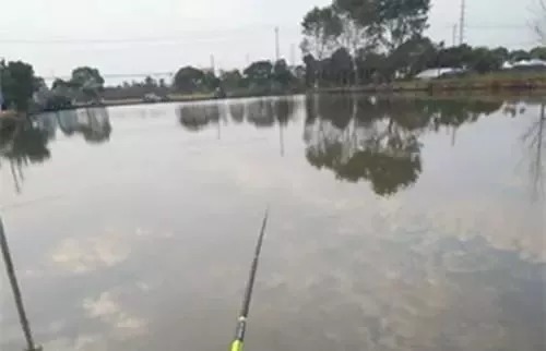 冬季鱼难钓,野钓难在哪,学会这三招冬季野钓收获满满