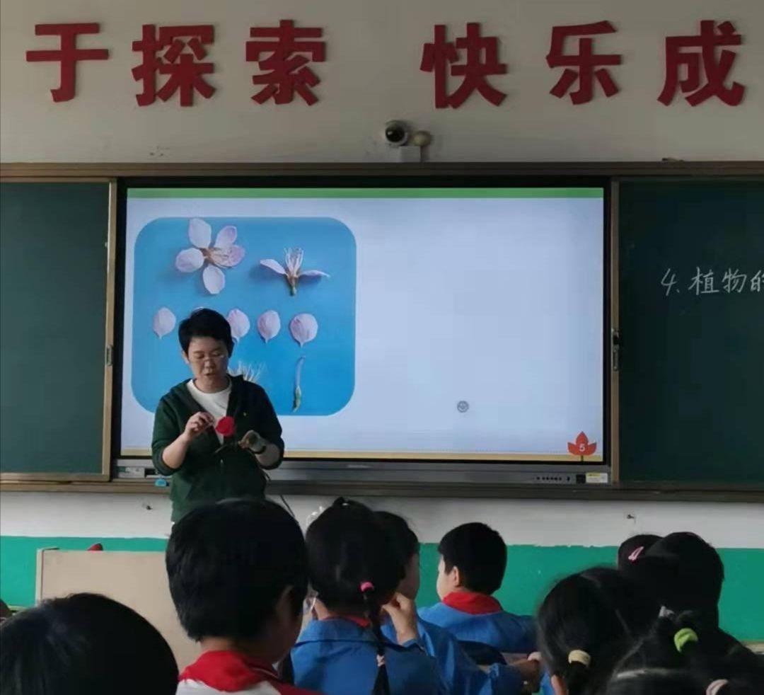 教研|双减之下，课堂提质—东平县C片区教研在大羊镇中心小学成功举行