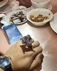 |搞笑GIF:假装什么都没有发生,我只是一个普通的路人甲……