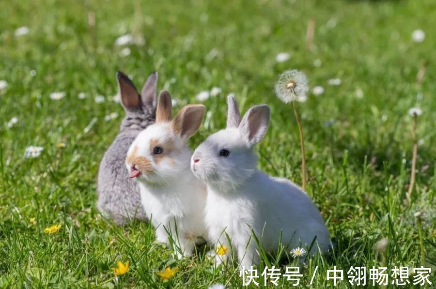 孕妇|怀孕后需要忌口的东西那么多其实真正不能吃的就两样