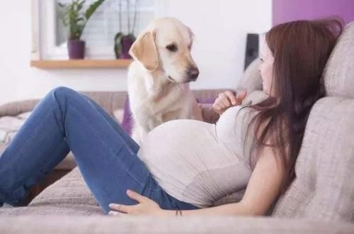 胎儿|5类孕妇容易生出畸形宝宝！孕前孕后跟我学，可以降低风险