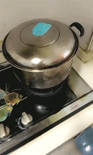 |精选搞笑GIF:这是我见过化妆化的最好的了,绝对的真材实料!