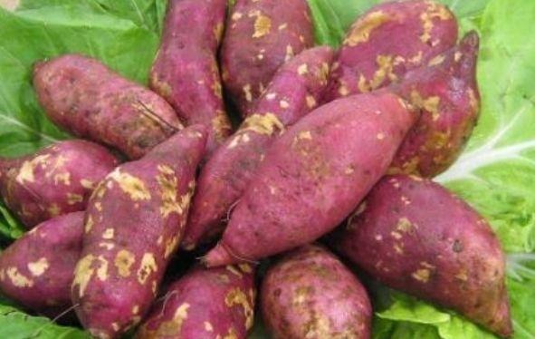 木耳科|女性担心变黄脸婆,学会吃4种食物,排毒养颜,抗衰老,滋养肌肤