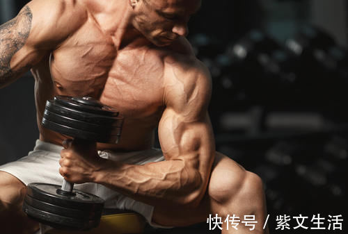 肌肉记忆|“肌肉记忆”真的存在吗?中断健身后,肌肉很难练回去!