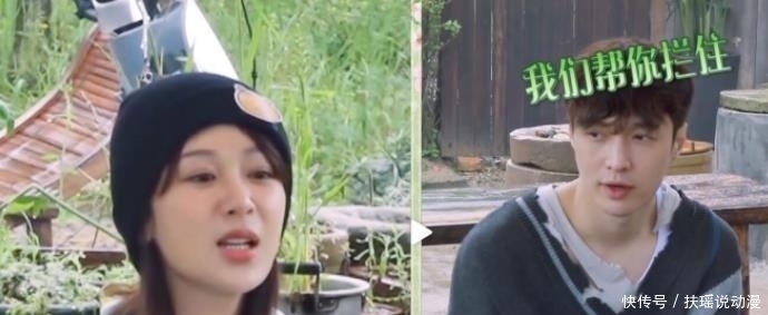 向往的生活 小绵羊掏鸡蛋家人疯狂打call,“老狐狸”黄老师还在背后使坏