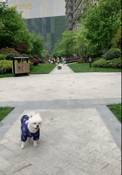 |搞笑GIF:只因在人群中多看了她一眼 结果在医院住了一个月