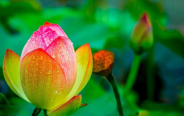 调理|调理失眠不要总是吃药，牢记1个土方，安睡8小时，一觉到天亮