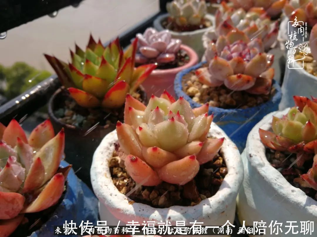 爱这一片缤纷的色彩，因为我们都是好色之徒！