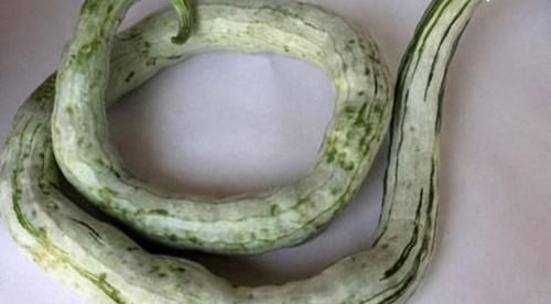 老少皆宜|人到中年适合常吃以下食物,润肠通便,排毒养颜,好处多多