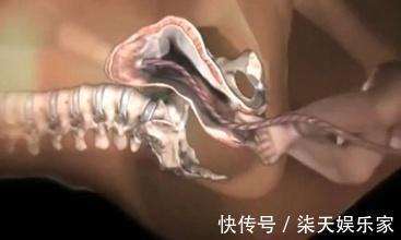 产妇|胎儿出生前都在忙什么组图播放全过程,着急见爸妈的样子真可爱