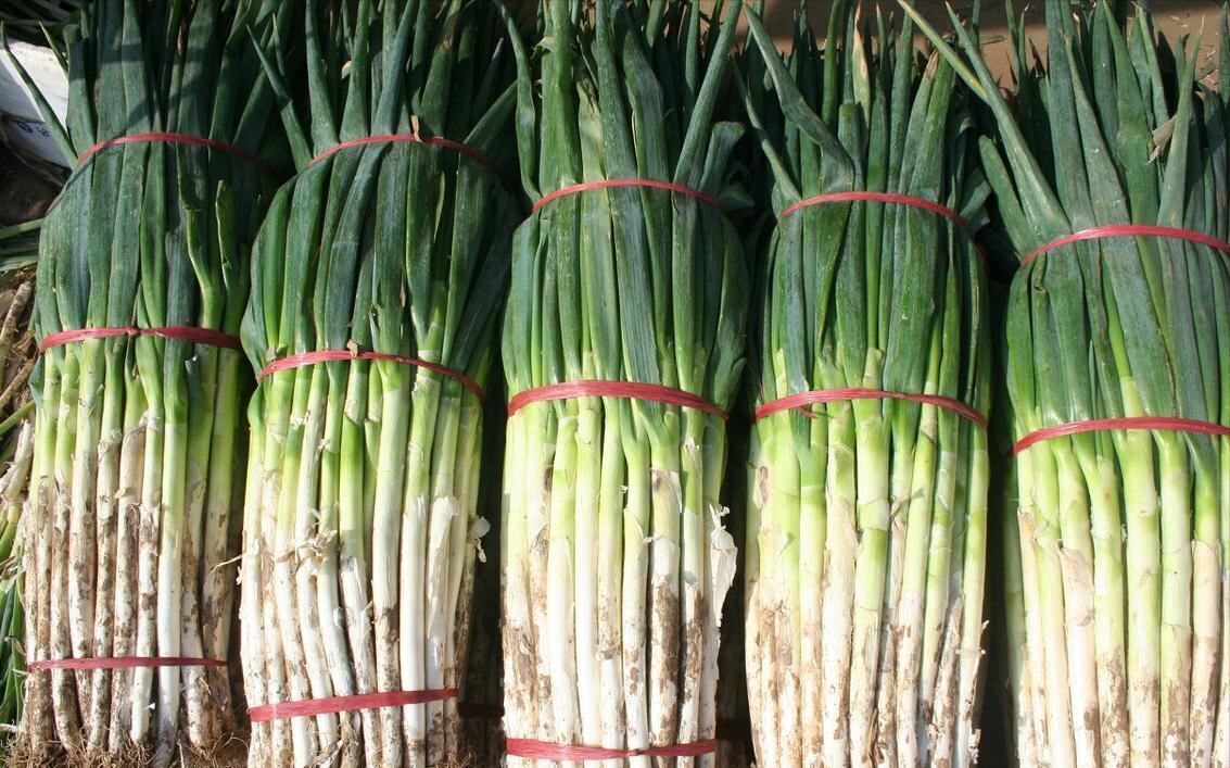 冬天大葱如何保存？教你3个好方法，平房楼房都适用，新鲜不烂根