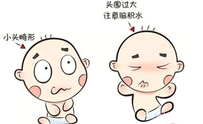 男孩|双顶径看男女:头小腿长是女孩,头大腿短是男孩?