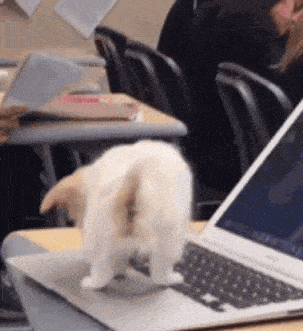 |搞笑GIF趣图:牛你到底经历了什么