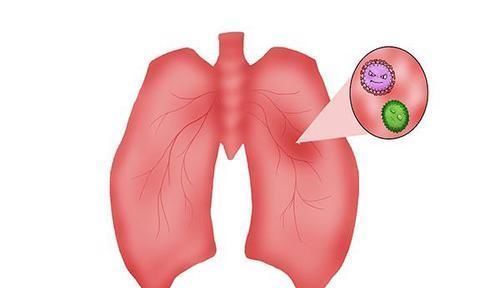 肺最“忌讳”2件事,如果你经常做,要定期做肺