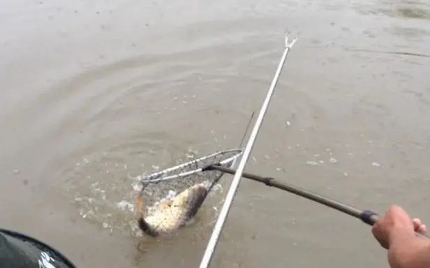 整个水域钓空,老钓手却用“这个方法”,爆护十多斤,一定要学会