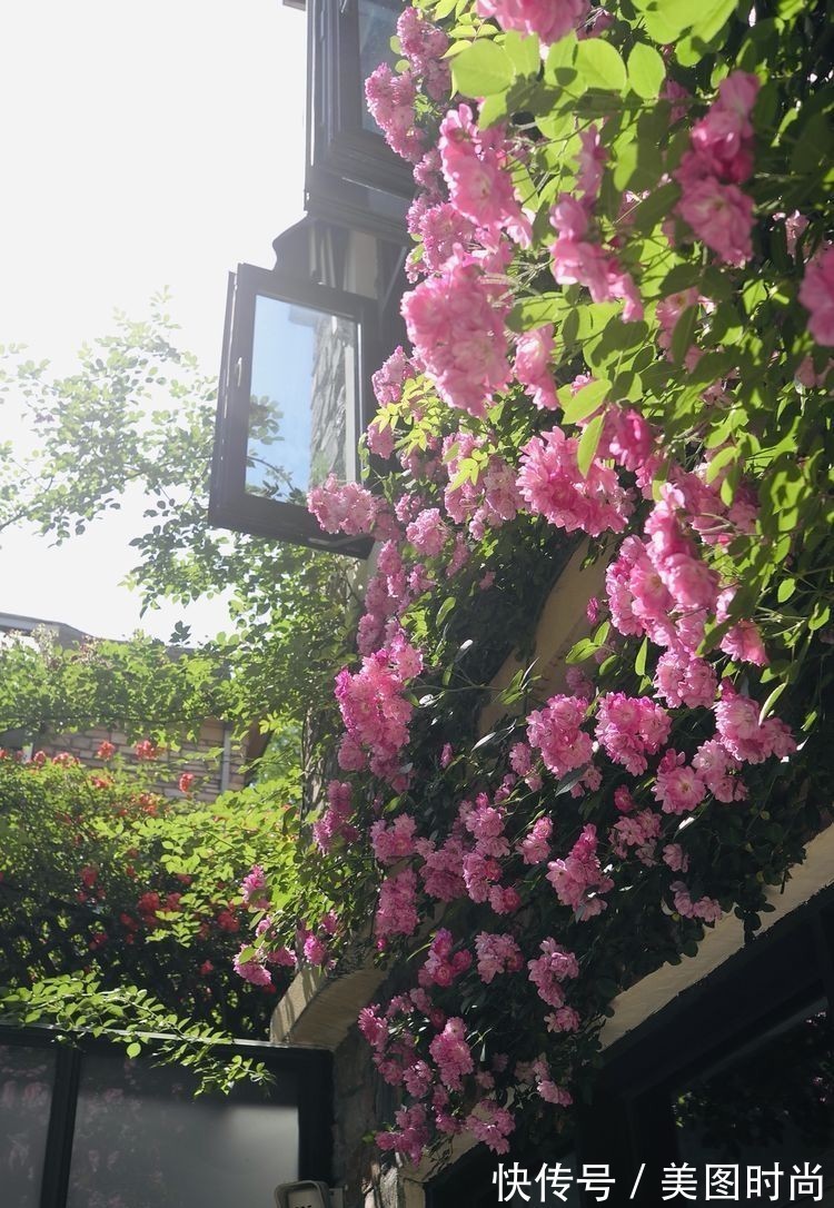 庭院改造:50㎡的下沉式庭院造花园,有地我也建一个,太好看了!