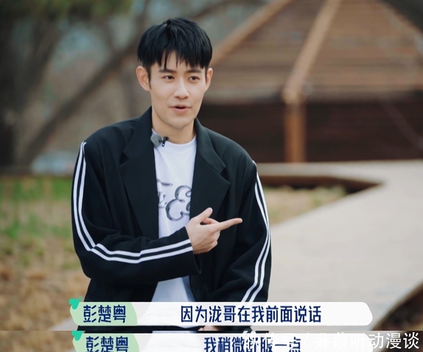 领衔|桃花坞:宋丹丹张翰领衔尴尬名场面,汪苏泷展现教科书式高情商