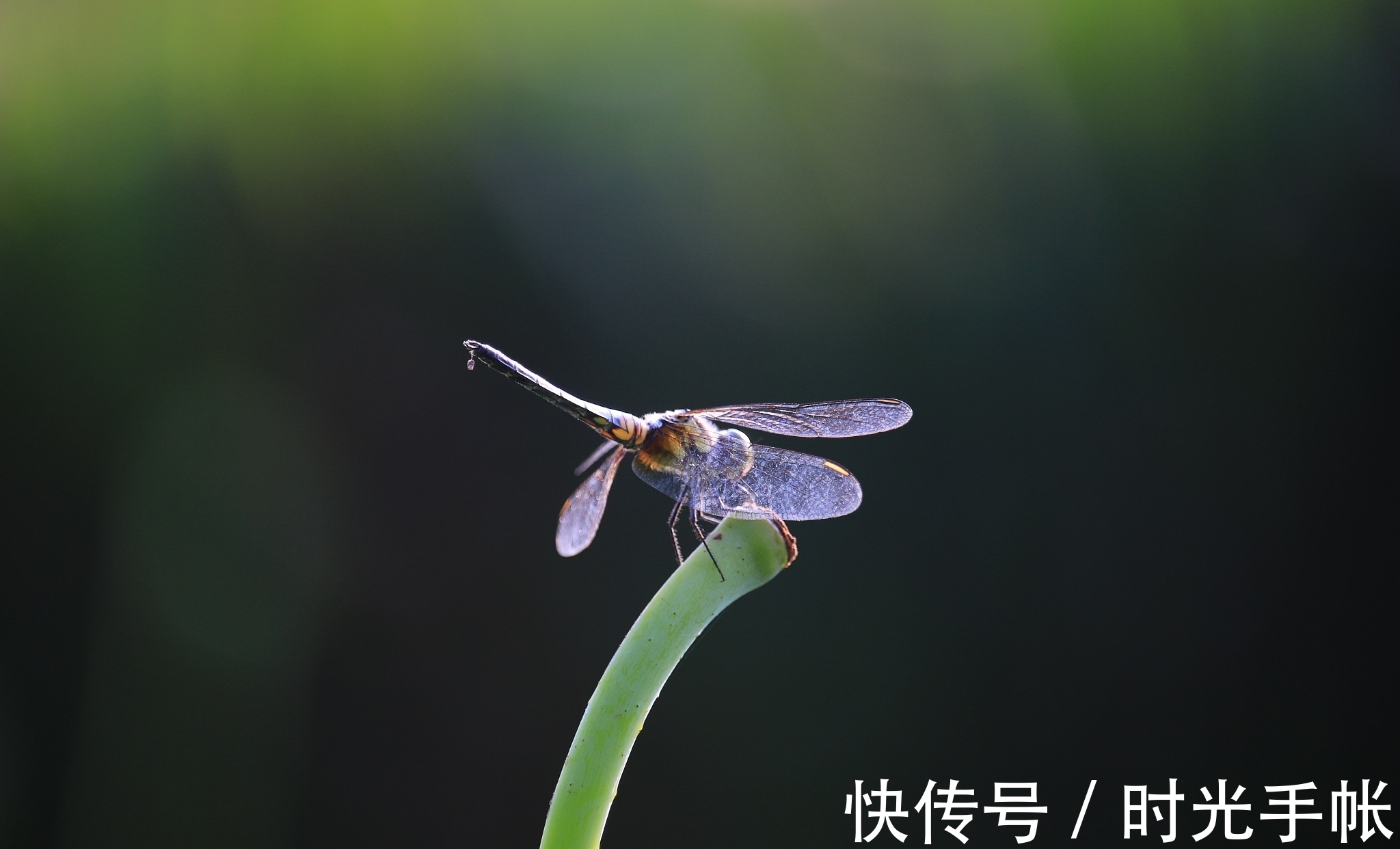 平意|一个人的道德、智慧和健康，根源就在一个字！