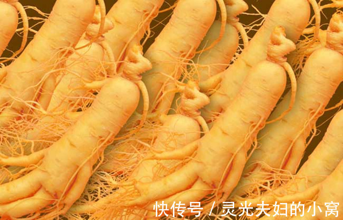 胎儿|孕妇保胎不能吃哪些食物?孕期禁忌一定要牢记