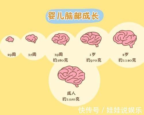 智商|孩子三岁以前,经常受以下几种刺激,智力可能已经赢在了起跑线上