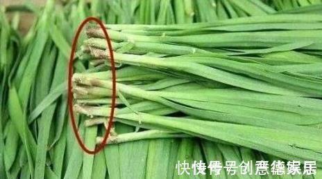 冬病夏治|医生提醒:别再吃此4种食物,寄生虫最多,能不吃就不吃