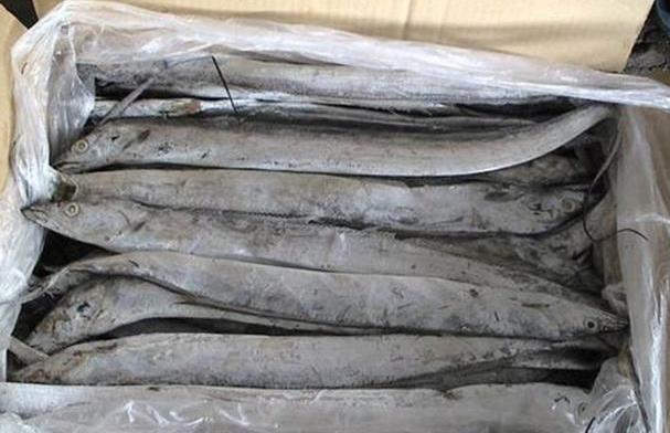 脾气“最大”的鱼,上岸就自尽,一斤18元,至今没人敢养