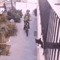 |搞笑GIF段子:哥们去上课了,让我陪他女朋友逛逛学校,她突然向我表白