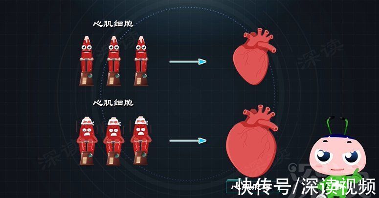 心房|久坐房颤发生率高5倍？酗酒肥胖更易得房颤？房颤发病因素知多少