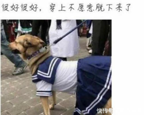 买家|最尿性的买家秀图3黑丝袜抢镜,最后一个笑晕在厨房!