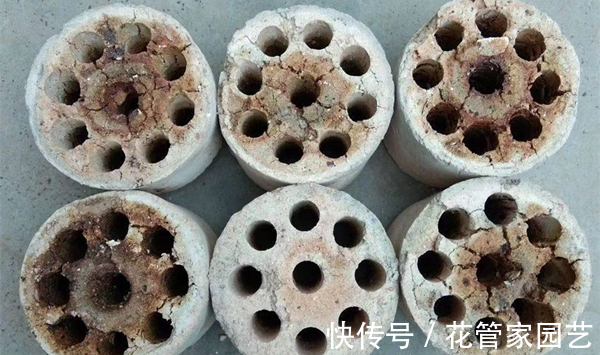 腐叶土|这几种路边别人不要的垃圾捡回家种花,比花钱买的营养土还好