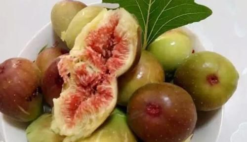 加油站|堪称黄体酮“加油站”,女性经常吃点,消散结节,调理增生