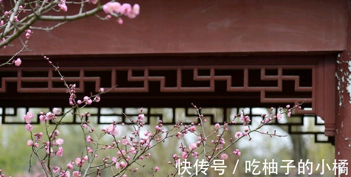 黄州&苏轼岐亭访友,忆昔抚今,感慨万千,写下了一首著名的七律