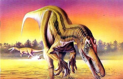 卫星 欧洲卫星坠落之前,无意探测到重要数据,科学家这次有了重大发现