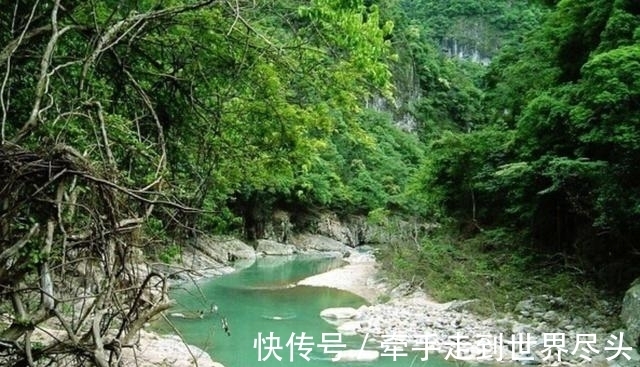 温州炉西大峡谷现“巨型溪石斑”,将近一斤重,已突破体型极限