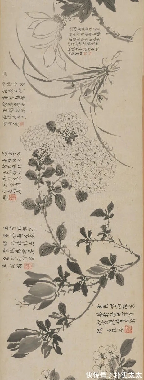 明代!周之冕|明代一位兼工带写的花鸟画家